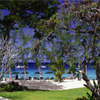Coral Reef Club 